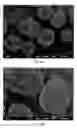 Fig. 12 - Toner, method for producing toner, two component developer, and image forming apparatus