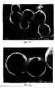 Fig. 16 - Toner, method for producing toner, two component developer, and image forming apparatus