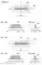 Fig. 45 - Semiconductor device and method for manufacturing the same, liquid crystal television, and EL television