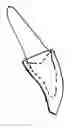 Fig. 01 - Assortment of teeth and method for preparing teeth