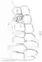 Fig. 07 - Fluoride-releasing pellet kit