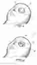 Fig. 04 - Ophthalmic surgery simulation device