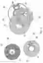 Fig. 16 - Analyte test system for determining the concentration of an analyte in a physiological or aqueous fluid