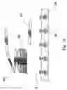 Fig. 20 - Analyte test system for determining the concentration of an analyte in a physiological or aqueous fluid