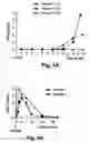 Fig. 04 - Adenoviral vector-mediated delivery of modified steroid hormone receptors and related products and methods