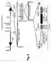 Fig. 09 - Adenoviral vector-mediated delivery of modified steroid hormone receptors and related products and methods