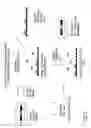Fig. 07 - In vitro methods of producing and identifying immunoglobulin molecules in eukaryotic cells