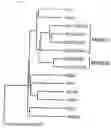 Fig. 02 - Identification of a receptor controlling migration and metastasis of skin cancer cells