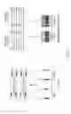 Fig. 04 - Dual phase multiplex polymerase chain reaction