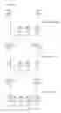 Fig. 08 - Dual phase multiplex polymerase chain reaction