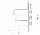 Fig. 13 - Dual phase multiplex polymerase chain reaction
