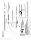 Fig. 04 - RNA interference mediated inhibition of GRB2 associated binding protein (GAB2) gene expression using short interfering nucleic acis (siNA)