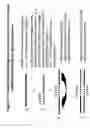 Fig. 19 - RNA interference mediated inhibition of GRB2 associated binding protein (GAB2) gene expression using short interfering nucleic acis (siNA)