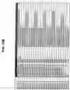 Fig. 17 - Characterization of CYP 2D6 genotypes