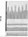 Fig. 19 - Characterization of CYP 2D6 genotypes