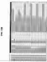 Fig. 23 - Characterization of CYP 2D6 genotypes