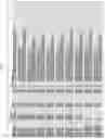 Fig. 29 - Characterization of CYP 2D6 genotypes