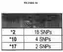 Fig. 35 - Characterization of CYP 2D6 genotypes