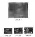 Fig. 14 - Osteoactivin protein and nucleic acids encoding the same, compositions and methods of stimulating bone differentiation