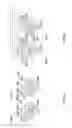 Fig. 03 - Multiplexed electrochemical detection system and method