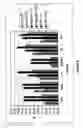 Fig. 04 - Universal amplification of fragmented RNA