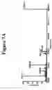 Fig. 11 - Preparation of biologically derived fluids for biomarker determination by mass spectrometry