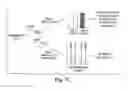 Fig. 03 - Methods for detection and quantitation of minimum length polymers