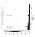 Fig. 11 - Probe for mass spectrometry