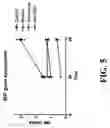 Fig. 06 - Methods for diagnosing and treating bladder cancer