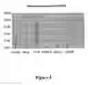 Fig. 05 - Compositions and methods for prognosis of cancers