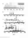 Fig. 08 - Identification and characterization of proteins using new database search modes