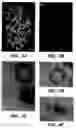 Fig. 06 - Assay methods for suppressor of fused modulation of hedgehog signaling