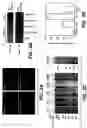 Fig. 07 - Assay methods for suppressor of fused modulation of hedgehog signaling