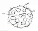 Fig. 01 - Bioreactor with expandable surface area for culturing cells
