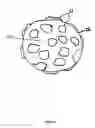 Fig. 03 - Bioreactor with expandable surface area for culturing cells