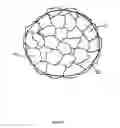 Fig. 04 - Bioreactor with expandable surface area for culturing cells