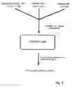 Fig. 04 - Artificial mammalian chromosome