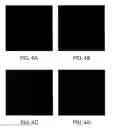 Fig. 06 - Artificial mammalian chromosome