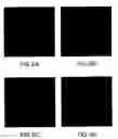 Fig. 07 - Artificial mammalian chromosome