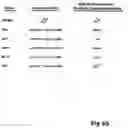 Fig. 09 - Artificial mammalian chromosome