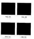 Fig. 10 - Artificial mammalian chromosome