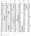 Fig. 08 - β-secretase enzyme compositions and methods