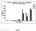 Fig. 46 - β-secretase enzyme compositions and methods