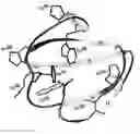 Fig. 01 - Modified chitin-binding domain and use thereof