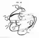 Fig. 04 - Modified chitin-binding domain and use thereof