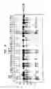 Fig. 05 - Modified chitin-binding domain and use thereof