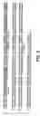 Fig. 06 - Polypeptides sharing sequence identity with a fibroblast growth factor polypeptide and nucleic acids encoding the same
