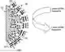 Fig. 01 - Polyelectrolyte-coated size-exclusion ion-exchange particles