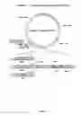 Fig. 07 - DNA cassette for cellular expression of small RNA