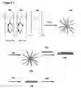 Fig. 04 - Micelle-controlled nanoparticle synthesis for SERS